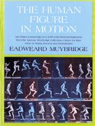 The human Figure In Motion Design Book