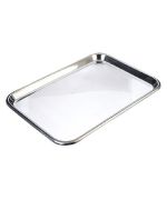 Stainless Steel Tray- 15" x 10" Flat